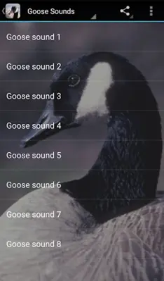 Goose Sounds android App screenshot 0